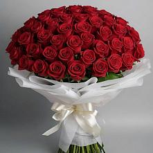Букет 101 Красная роза Блэк Мэджик в Фельдмаршальском