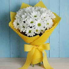 Букет цветов из:  Хризантемы в Фельдмаршальском