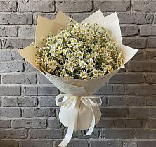 Букет цветов из:  Ромашки в Фельдмаршальском