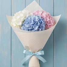 Букет цветов из:  Гортензия в Фельдмаршальском