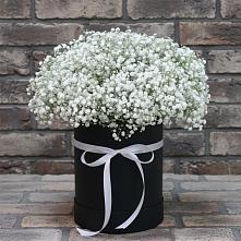 Цветочная композиция из Гипсофила в шляпной коробке в Фельдмаршальском