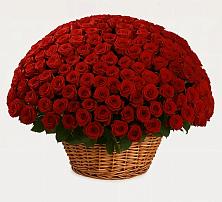 Премиум букет из: Розы в Фельдмаршальском