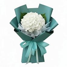 Букет цветов из:  Гортензия в Фельдмаршальском